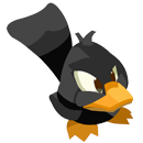 Kouin-Kouin Noir