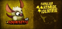 Sourisette