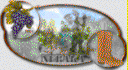 Avatar de neraka
