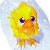 Avatar de Lapin Malin