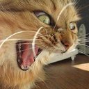 Avatar de crizzouille