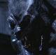 Avatar de Wolflord