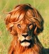 Avatar de adh1976