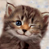 Avatar de nico34