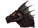 Avatar de Rogal le noir