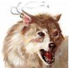 Avatar de Loup_Gris