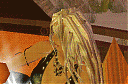 Avatar de Elya Larsson