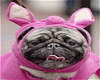 Avatar de angedelamort