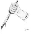 Avatar de ThalandaR O_o