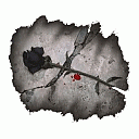 Avatar de nebisa