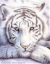 Avatar de Tigre en peluche
