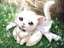 Avatar de Syrho