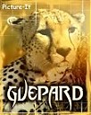Avatar de Guepard24