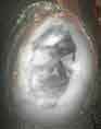 Avatar de tyler-knox