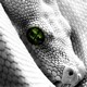 Avatar de Ezar