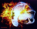 Avatar de bobi6894