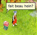 Avatar de Mange-cailloux