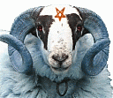 Avatar de Jackeror