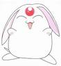 Avatar de Ark221