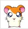 Avatar de Hamzouille
