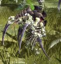 Avatar de Tyranicii