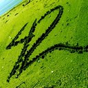 Avatar de AndroParano