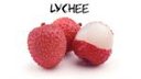 Avatar de Lychee