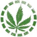 Avatar de Weedpurple