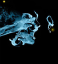 Avatar de boXer124590