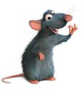 Avatar de RicoASA
