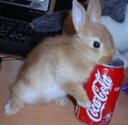 Avatar de PoussinRaza