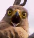 Avatar de Etiix