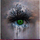Avatar de Eddard