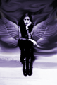 Avatar de Haze_back
