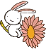 Avatar de Minuit Chan