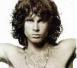 Avatar de The Lizard King