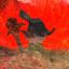 Avatar de Hazukii