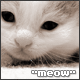 Avatar de Meow the Catz