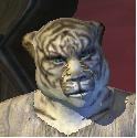 Avatar de Sylgrock
