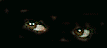Avatar de Sykver
