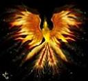 Avatar de Falkhen