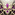 N�cromancien