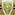 Sentinelle