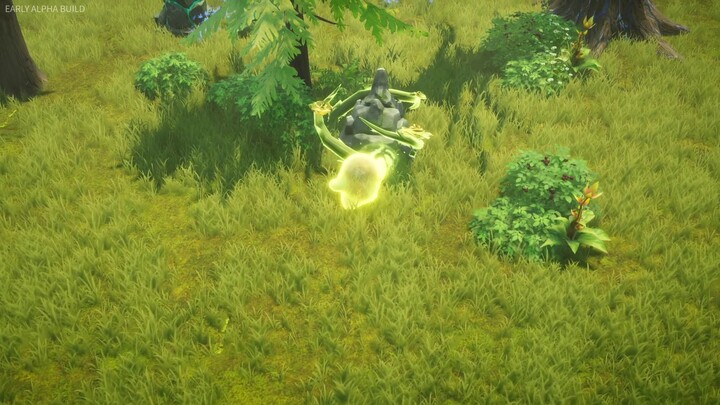 Présentation de Never Wither qui sera en playtest le 29 mai