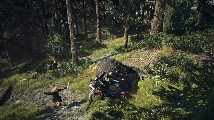 Dragon’s Dogma 2 : un mod coop à 4 joueurs bientôt disponible