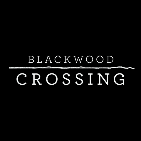 Blackwood Crossing - Blackwood Crossing, The Silver Case et Train Simulator live sur la JOL-TV