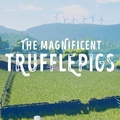 The Magnificient Trufflepigs The Magnificient Trufflepigs