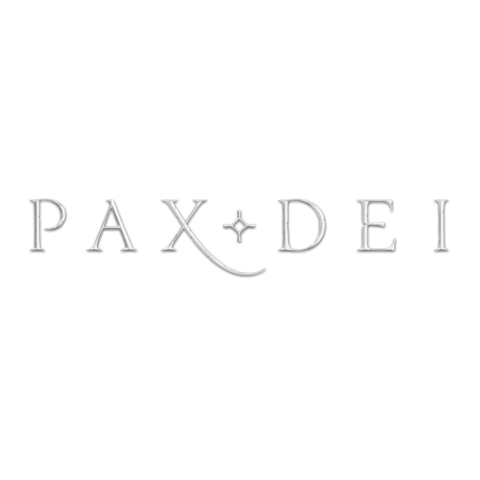 Pax Dei - Comprendre l'interface