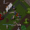 Capture de Ultima Online