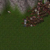 Capture de Ultima Online